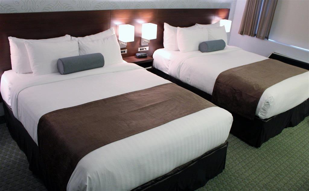 Rodd Moncton Hotel Quarto foto